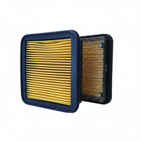 Apache RTR 200 Air Filter - 45 Degree View