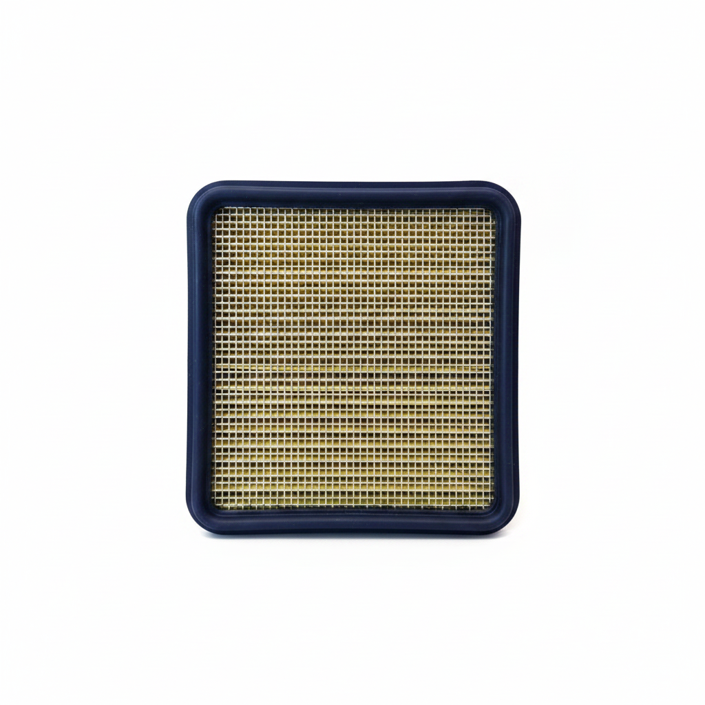 Apache RTR 160 200 4V BS6 Air Filter - Back Mesh View