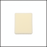 Bajaj CT-100 KB4S Foam Air Filter - Top View