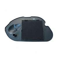 Suzuki Access Air Filter - Top Front View