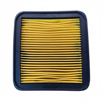 Apache RTR 200 Air Filter - Top Front View